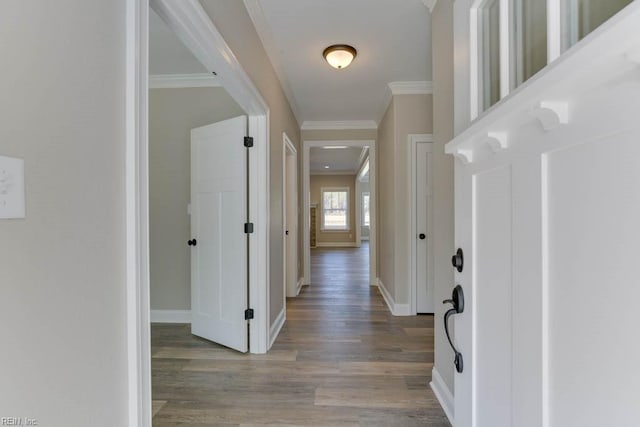 corridor featuring wood-type flooring and crown molding