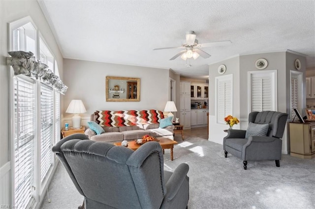 carpeted living room featuring ceiling fan and a textured ceiling