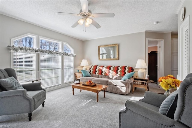 carpeted living room with ceiling fan and a textured ceiling