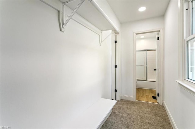 spacious closet with carpet