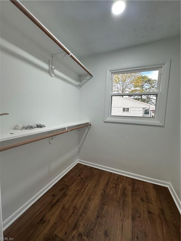 spacious closet featuring dark hardwood / wood-style floors