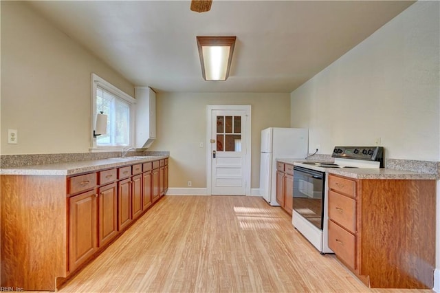 kitchen featuring sink, light hardwood / wood-style floors, and white appliances