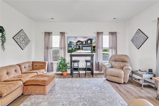 living room featuring hardwood / wood-style floors and a wealth of natural light