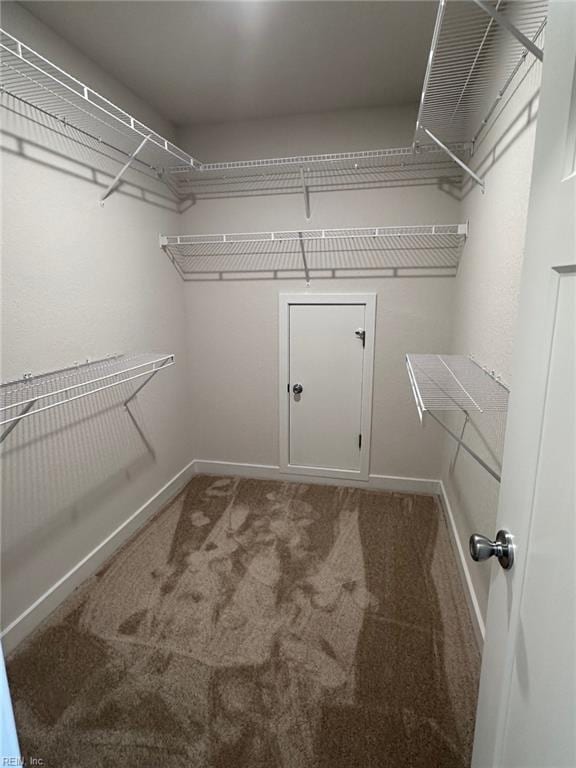 spacious closet with carpet flooring