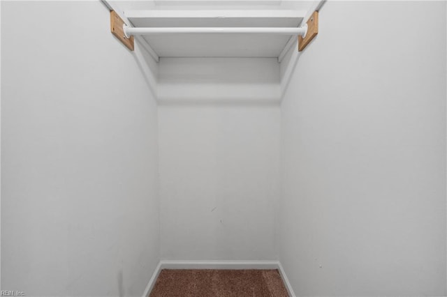 spacious closet with carpet floors