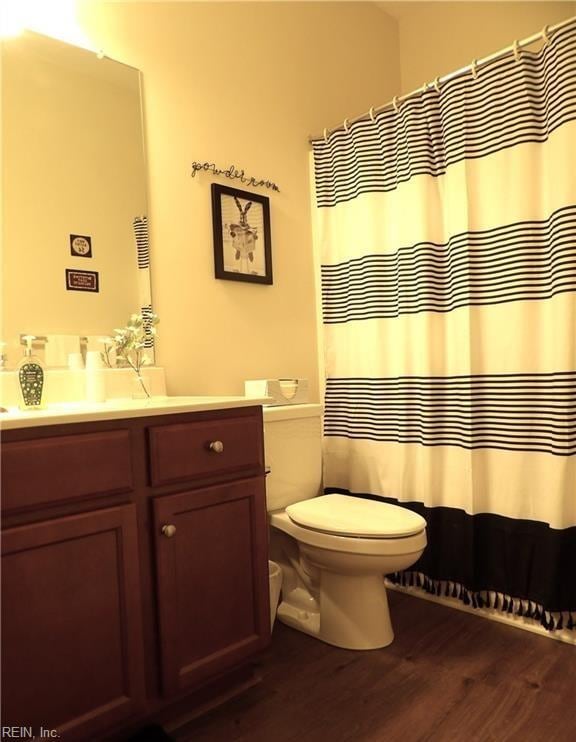 bathroom featuring vanity, toilet, and wood-type flooring