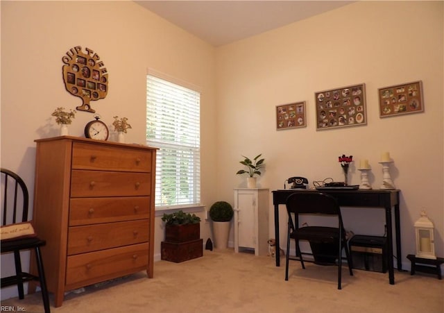 carpeted office featuring a wealth of natural light