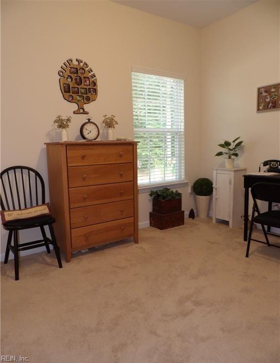 living area with light carpet