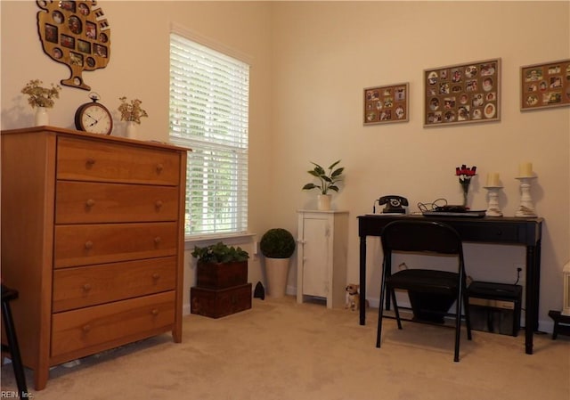 misc room featuring light carpet and a wealth of natural light