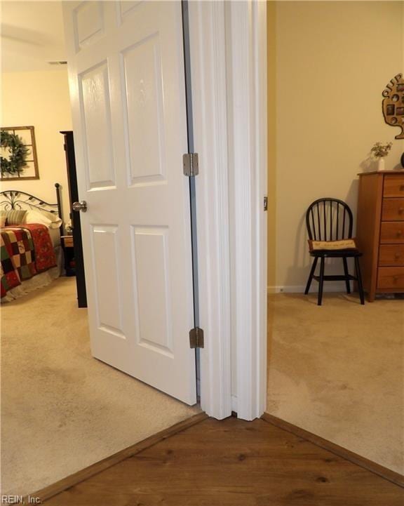 hallway featuring carpet floors