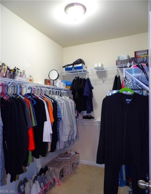 spacious closet featuring light carpet