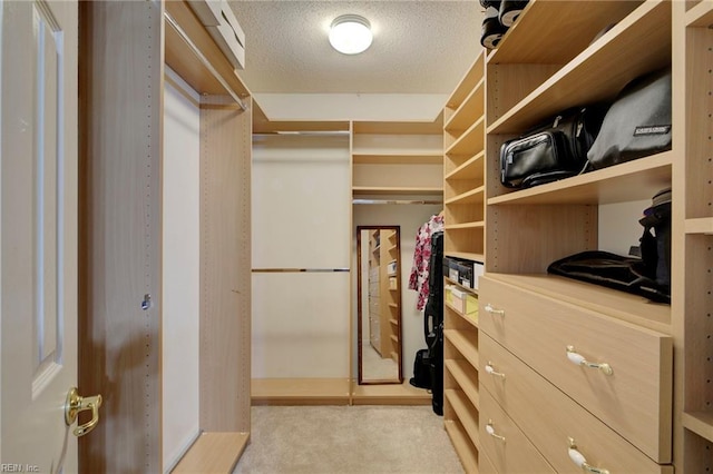 spacious closet with light colored carpet