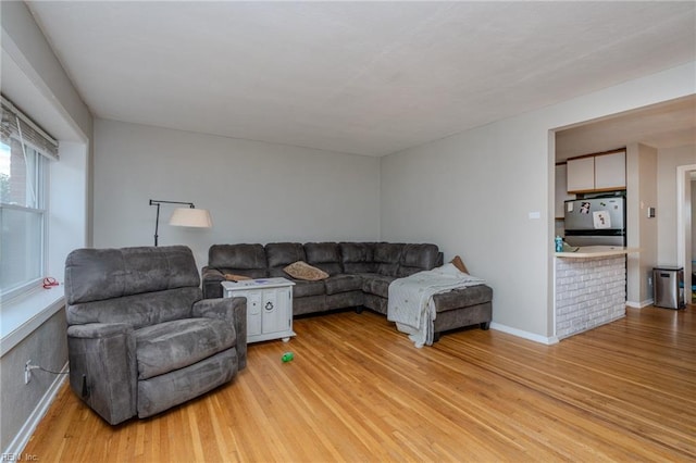 living room with light wood-type flooring