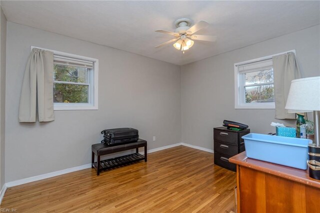 office space with a wealth of natural light, ceiling fan, and light wood-type flooring