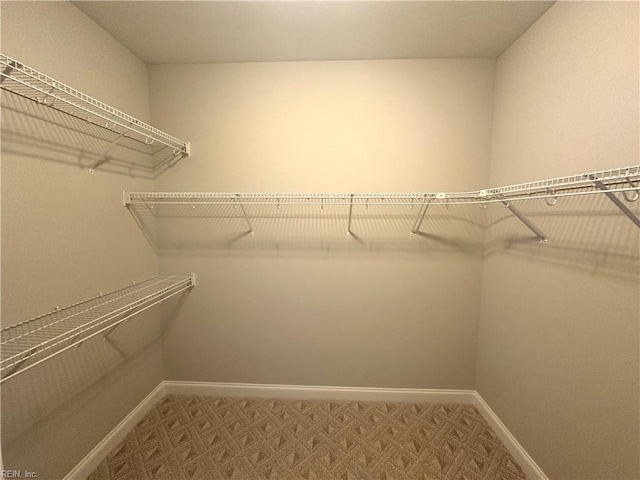 spacious closet featuring carpet floors