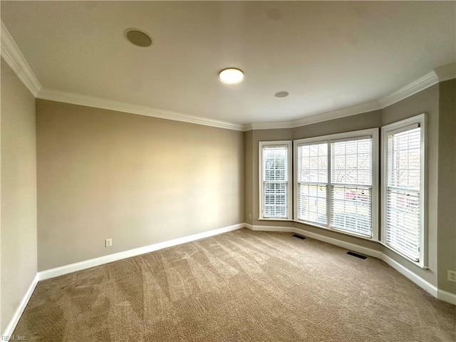 unfurnished room featuring carpet and ornamental molding