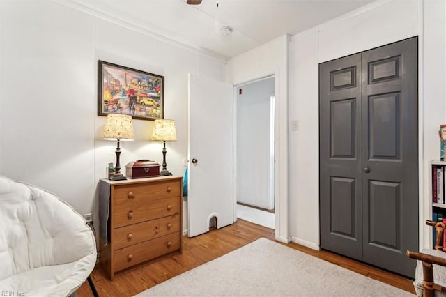 sitting room with light hardwood / wood-style flooring