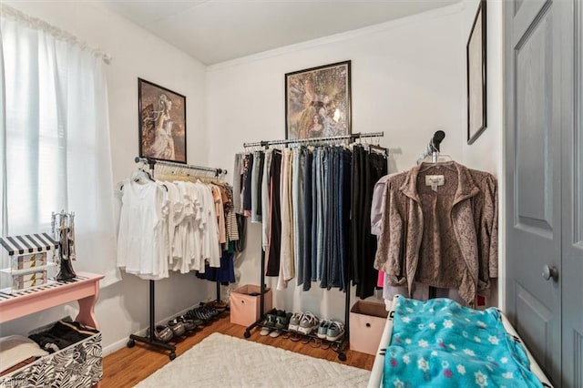 walk in closet featuring hardwood / wood-style floors