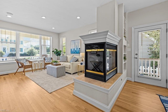 living room with hardwood / wood-style floors and a multi sided fireplace