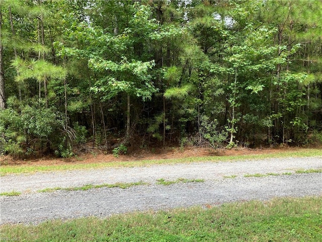 Listing photo 2 for LOT3 Kings Land Ct, Gates NC 27937