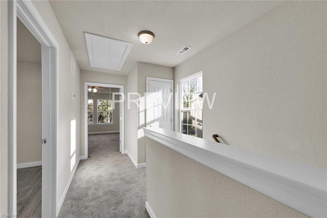 hallway with light colored carpet