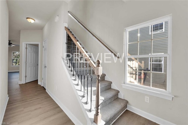 stairs featuring wood-type flooring and ceiling fan