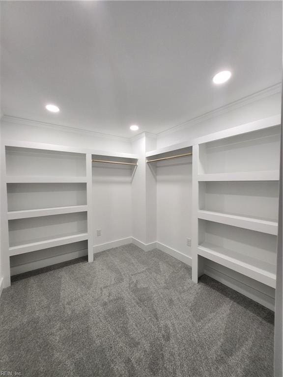 walk in closet with dark colored carpet