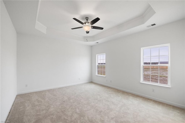 empty room with light carpet, a raised ceiling, and a wealth of natural light