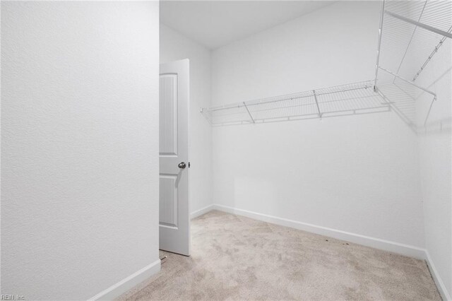 spacious closet featuring light carpet