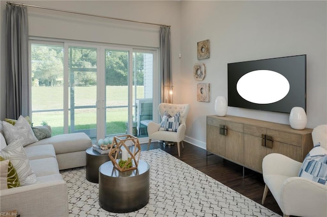 living room featuring wood-type flooring