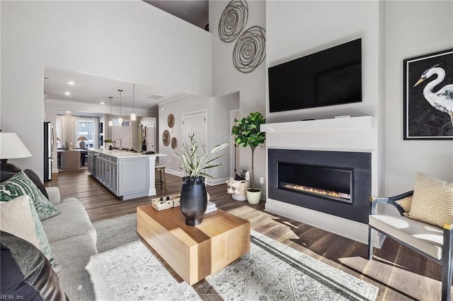 living room with hardwood / wood-style flooring, sink, and a high ceiling