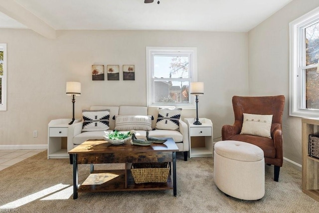 sitting room with light carpet and plenty of natural light