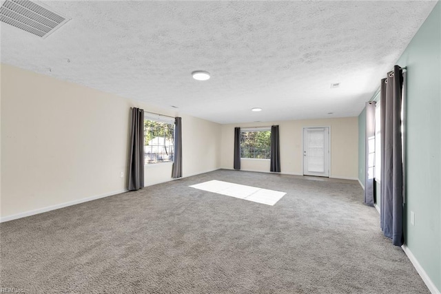 carpeted empty room with a healthy amount of sunlight and a textured ceiling