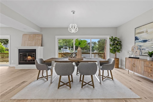 dining room with light hardwood / wood-style flooring