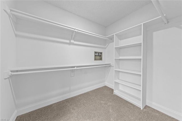 walk in closet with carpet