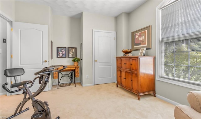 sitting room featuring light colored carpet