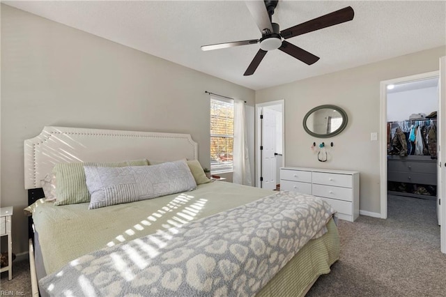 carpeted bedroom featuring ceiling fan, a walk in closet, and a closet