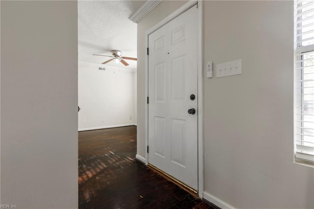 hallway with plenty of natural light, dark hardwood / wood-style floors, and a textured ceiling