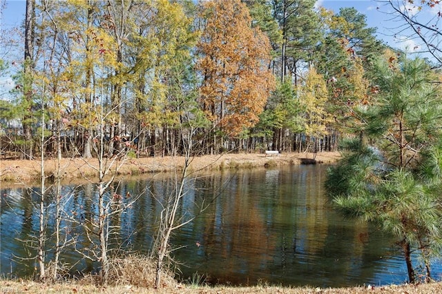 property view of water