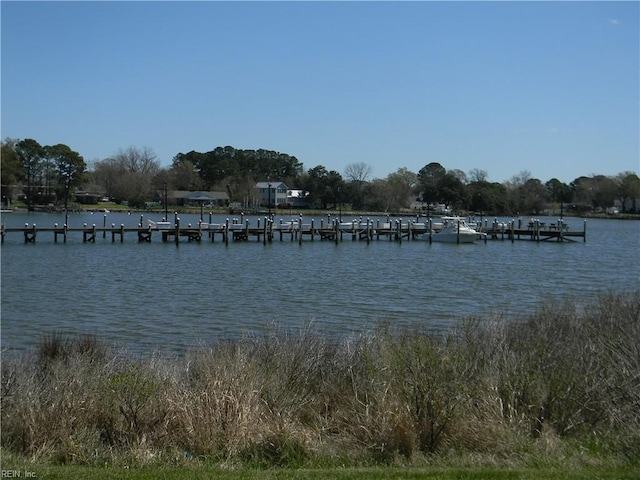 property view of water with a dock