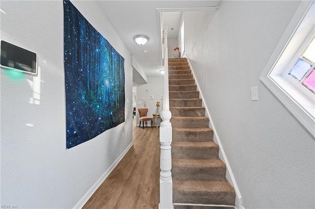 staircase with hardwood / wood-style floors