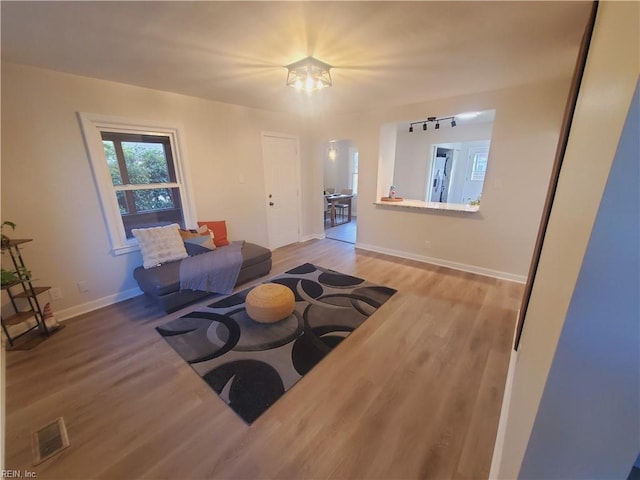 living room with wood-type flooring