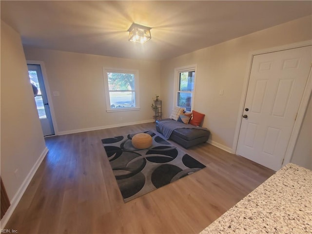 sitting room with dark wood-type flooring