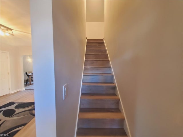 staircase featuring hardwood / wood-style floors