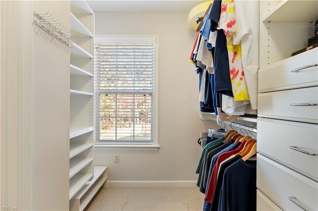 spacious closet with light carpet