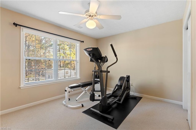 workout room featuring carpet floors and ceiling fan