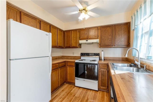 kitchen featuring ceiling fan, sink, light hardwood / wood-style floors, and white appliances