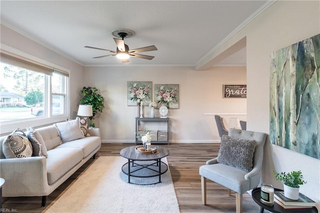 living room featuring ceiling fan, wood-type flooring, and crown molding