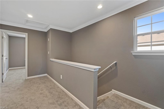 hall with crown molding and light colored carpet