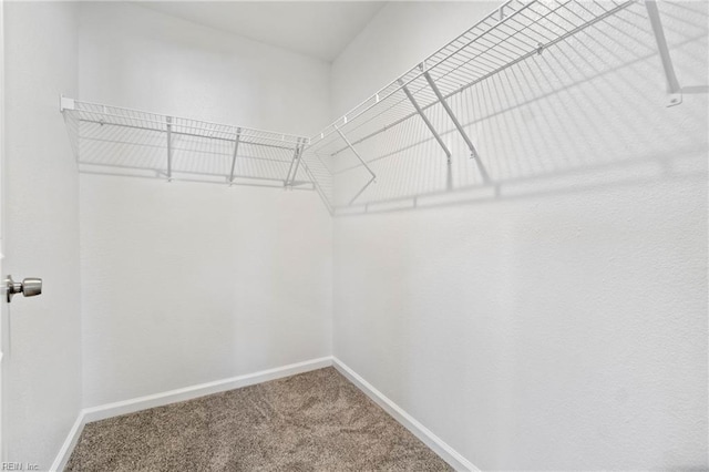 walk in closet with carpet